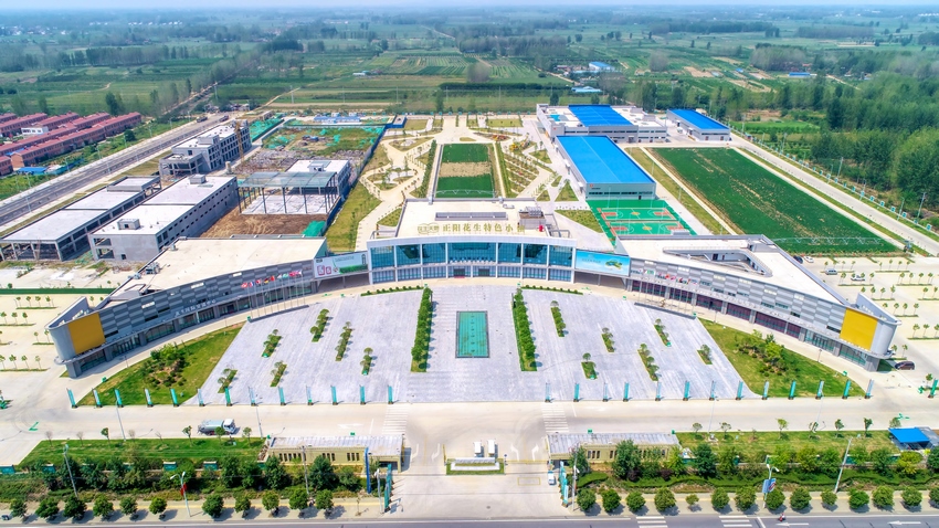 花生小镇201908DJI_0011 (复制).jpg