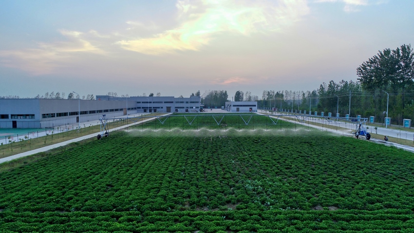 小镇实验田DJI_0004_2 (复制).jpg