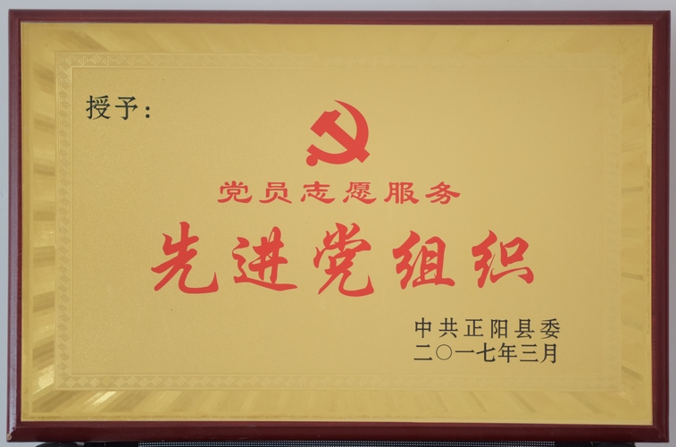 先进党组织 