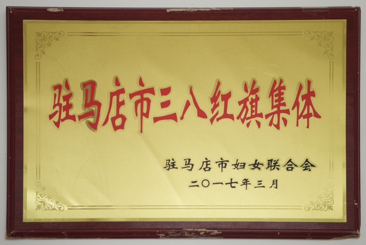 驻马店市三八红旗集体