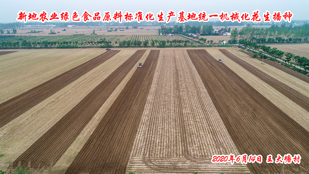 20200620尊龙凯时农业绿色食品原料标准化生产基地统一机械化花生种植(2) 拷贝.jpg