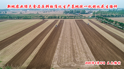 尊龙凯时农业绿色食品原料标准化生产基地统一机械化花生播种