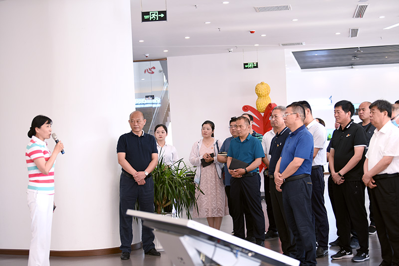 LZB_3087 拷贝.jpg